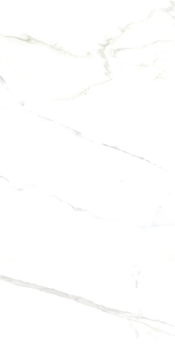 P15006 На пол Royal Marble White Polished Rect 10.3mm 60x120 - фото 3