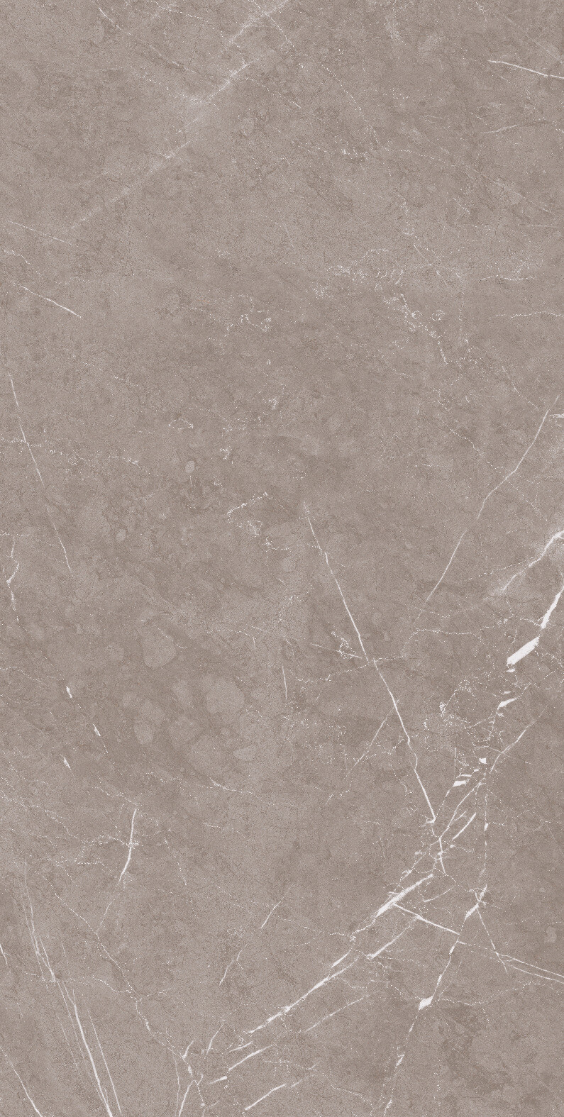 1070 На пол Stone Pietra Taupe Carv 120x60 - фото 3