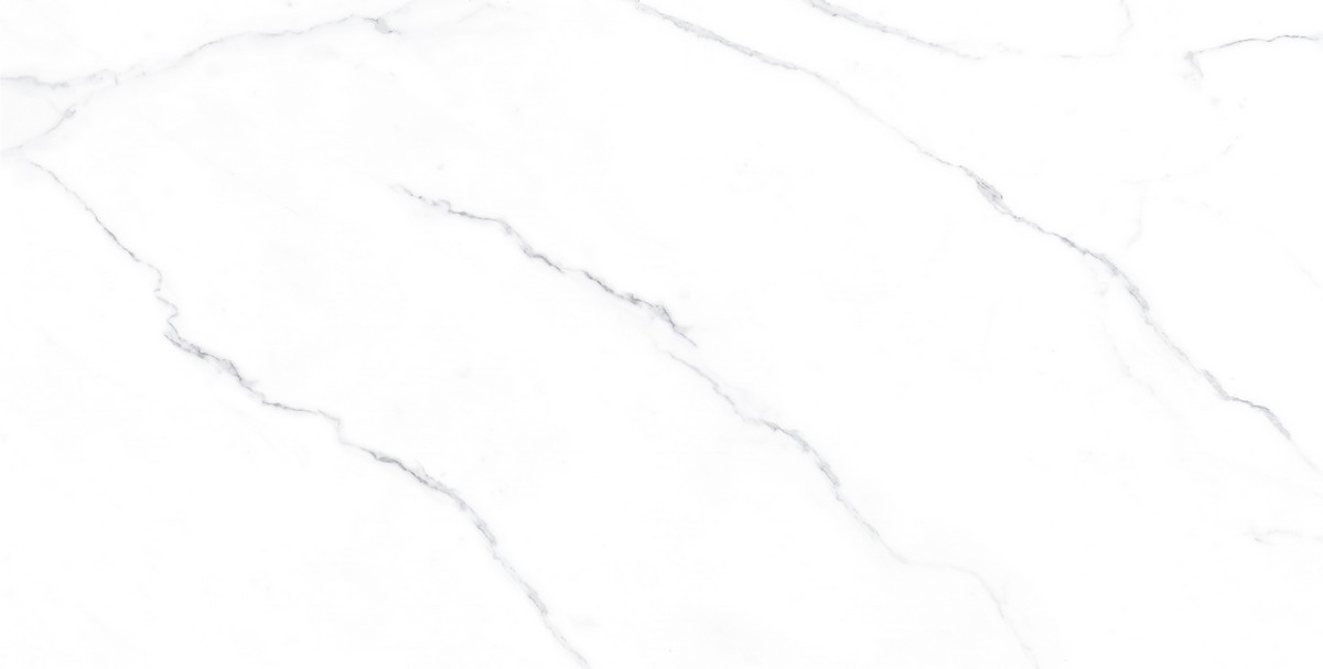 ENMAR1005MT60120 На пол Marble Carrara Bianco Matt - фото 6