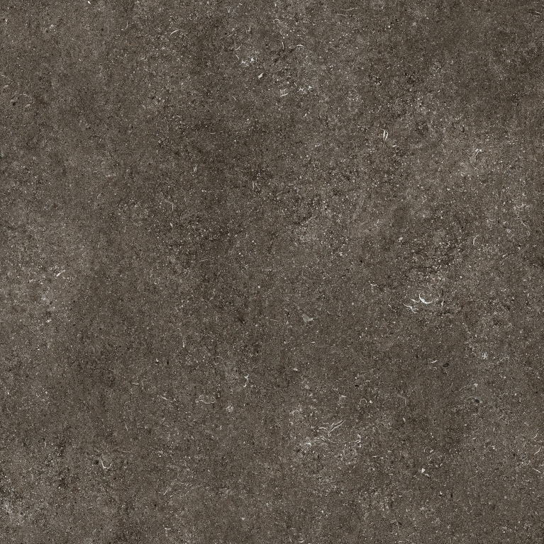 768560 На пол Sensi by Thun Brown Fossil Nat Ret 6mm 120x120 - фото 4