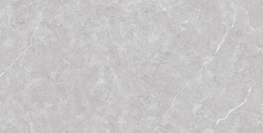 N20436 На пол Stone&More Tokyo Grey Matt 60x120