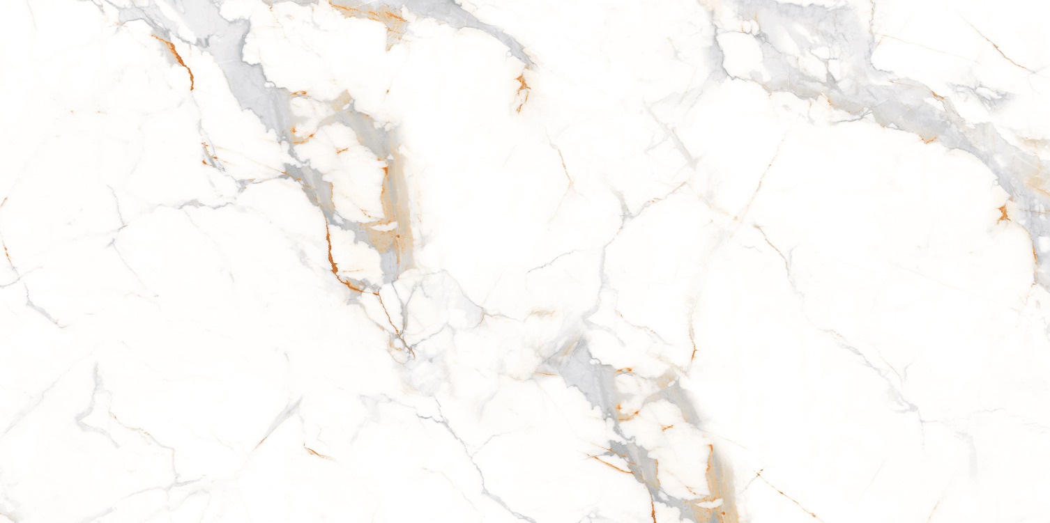 M4406P На пол Marble Аletta Glossy 60x120