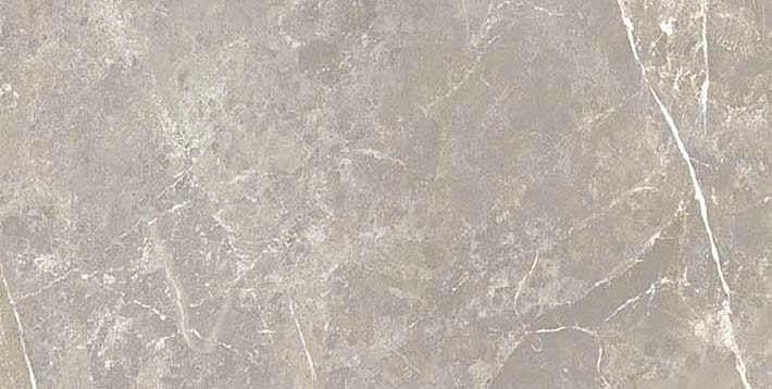 766630 На пол Elemental Stone Grey Dolomia Luc Ret 30x60