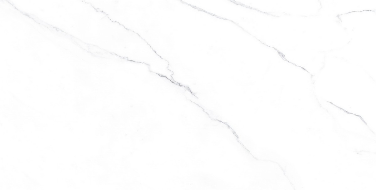 ENMAR1005MT60120 На пол Marble Carrara Bianco Matt - фото 4