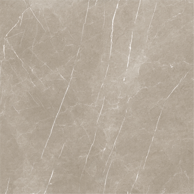 На пол Eternal Taupe Natural 120x120