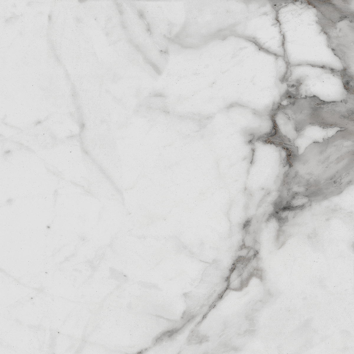 R_PR1005 На пол Carrara Betria Polished 60x60