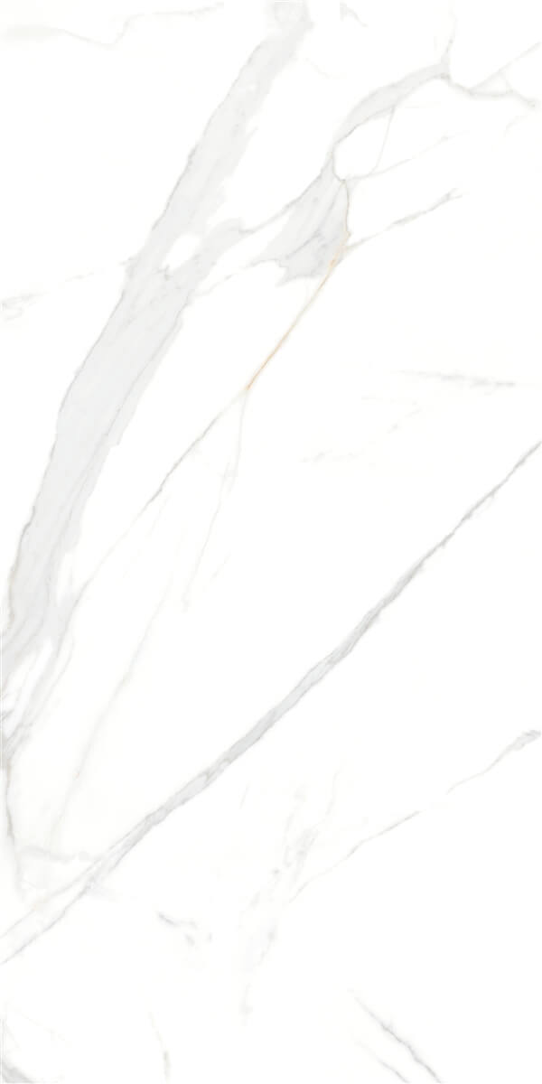 P15006 На пол Royal Marble White Polished Rect 10.3mm 60x120