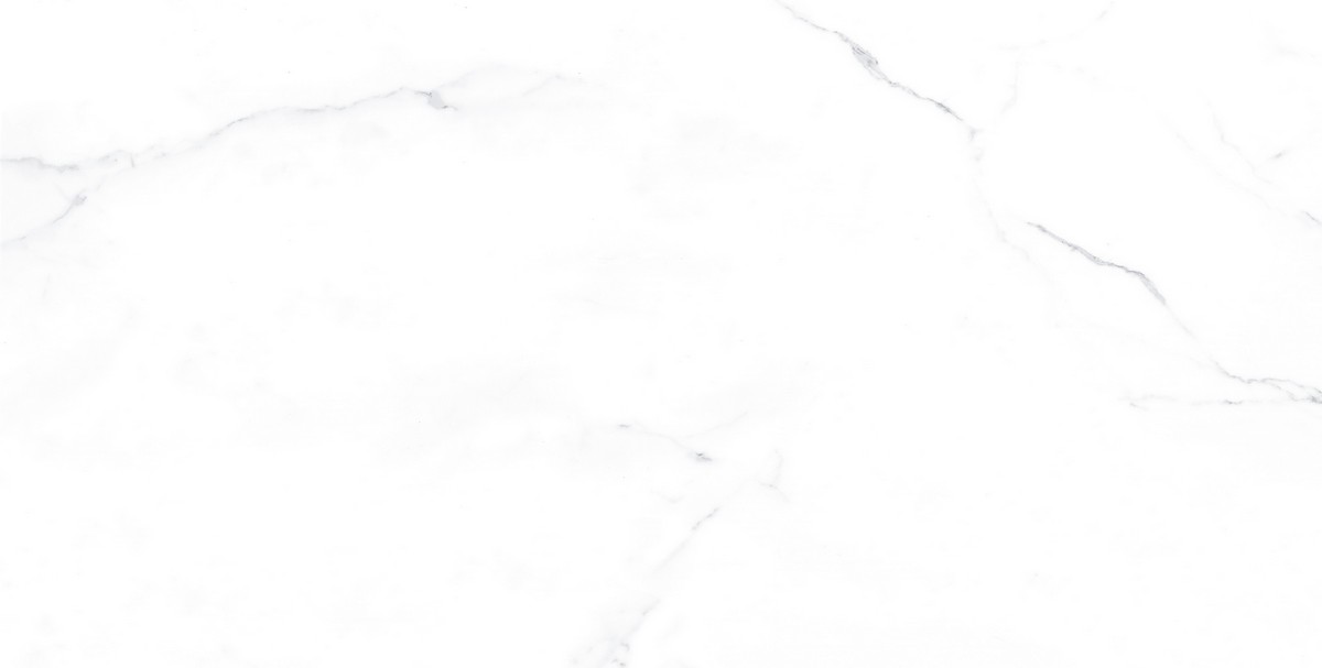 ENMAR1005MT60120 На пол Marble Carrara Bianco Matt - фото 3