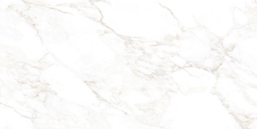 NTT99526M На пол Marmo Marble Extra Endless 60x120