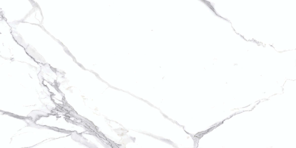 На пол Calacatta Splendid Silver Белый Полированный 60х120 - фото 4