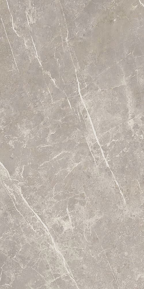 766528 На пол Elemental Stone Grey Dolomia Luc Ret 60x120