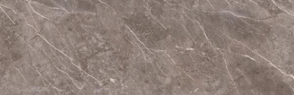 На пол Marbles Savana Dark 100x300