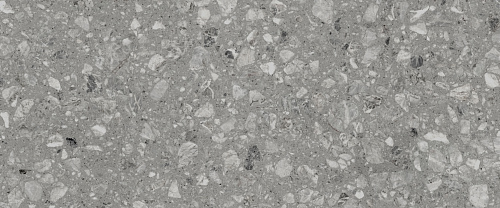 010100001544 На стену Cameo Terrazzo grey серый 01 25х60