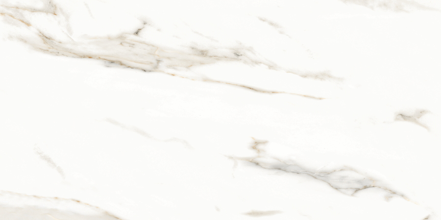 N12028 На пол Splendida Marmol Carrara Polished 60x120