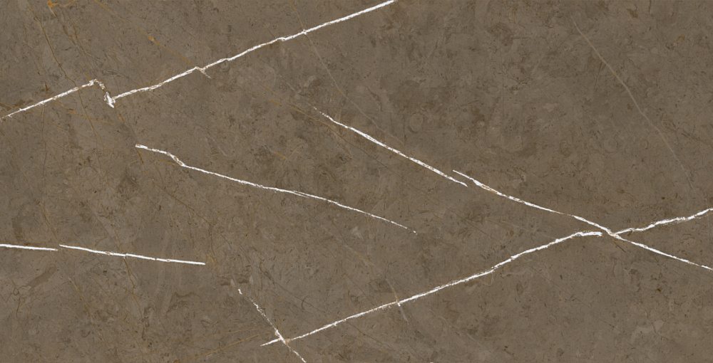 BHM-5009 На пол Stone Brown 3D ink-soft glaze 60x120 - фото 2