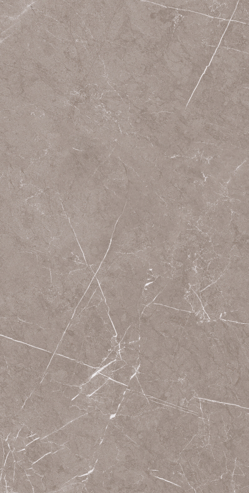 1070 На пол Stone Pietra Taupe Carv 120x60 - фото 6