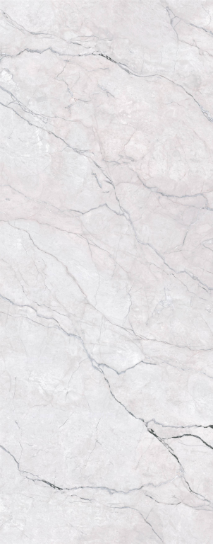 MN257AY301206 На пол Marble Fairy Forest Matt 6mm 120x300