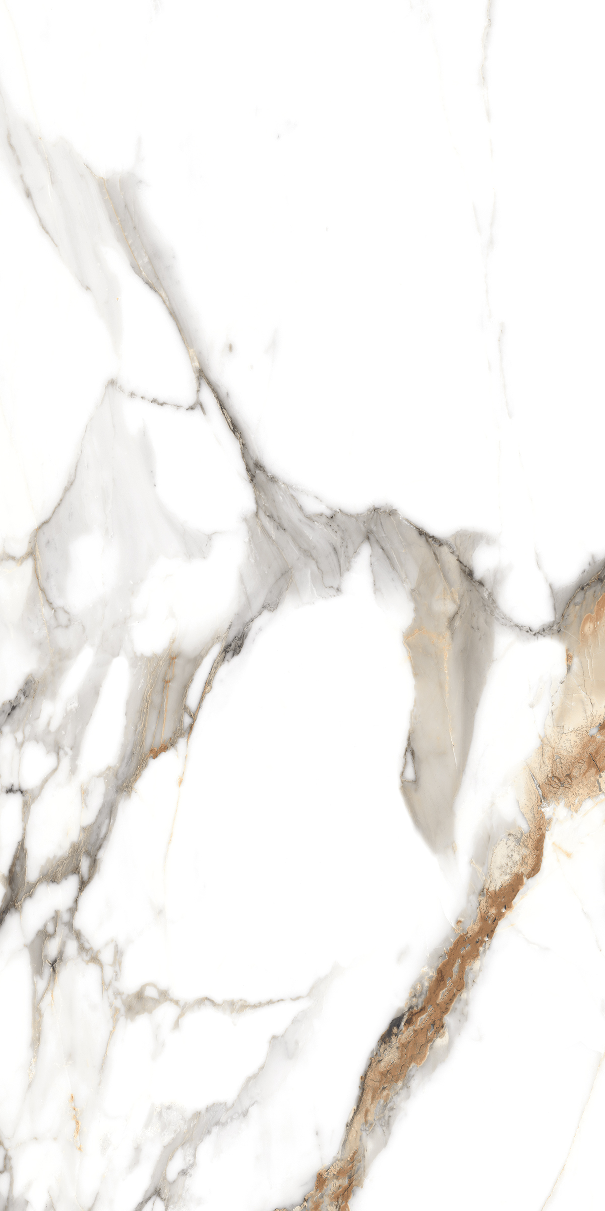 890  На пол Marble 5.5mm Classic Carrara 120x60 - фото 4