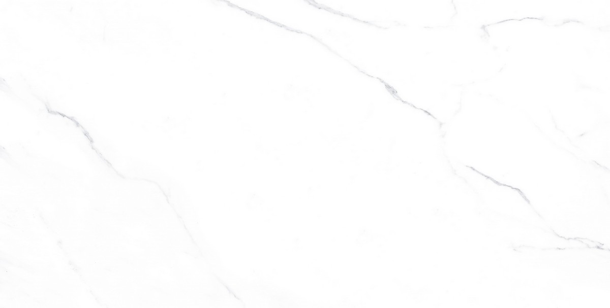 ENMAR1005MT60120 На пол Marble Carrara Bianco Matt