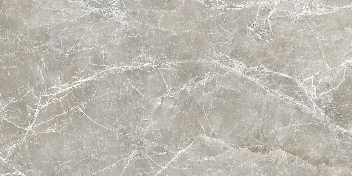 EKS8 На пол Unique Marble Moon Grey Silktech 60x120