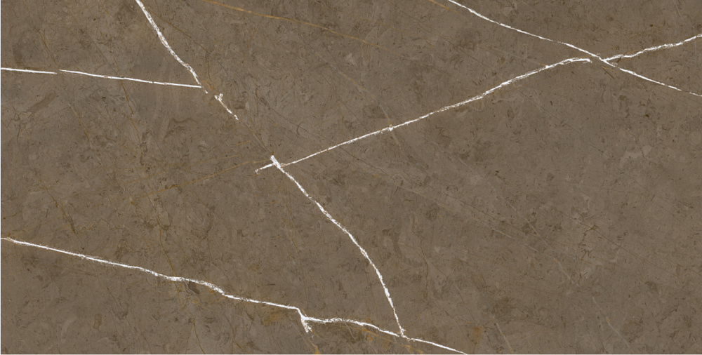 BHM-5009 На пол Stone Brown 3D ink-soft glaze 60x120 - фото 4