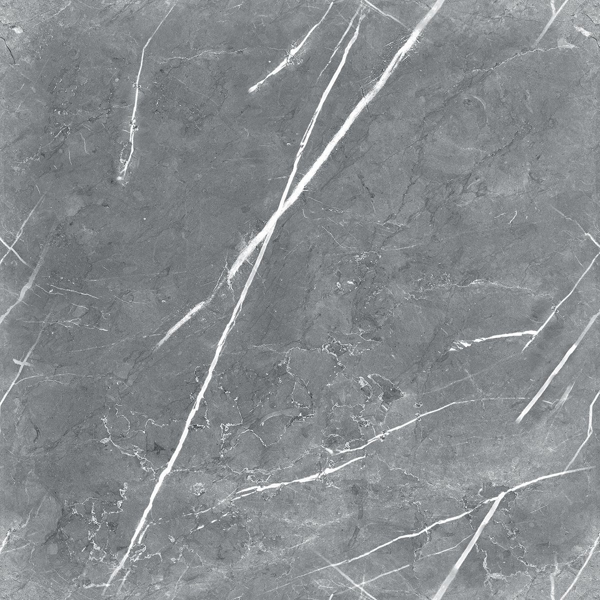 R_PR1019 На пол Carnico Grey Polished 60x60 - фото 3