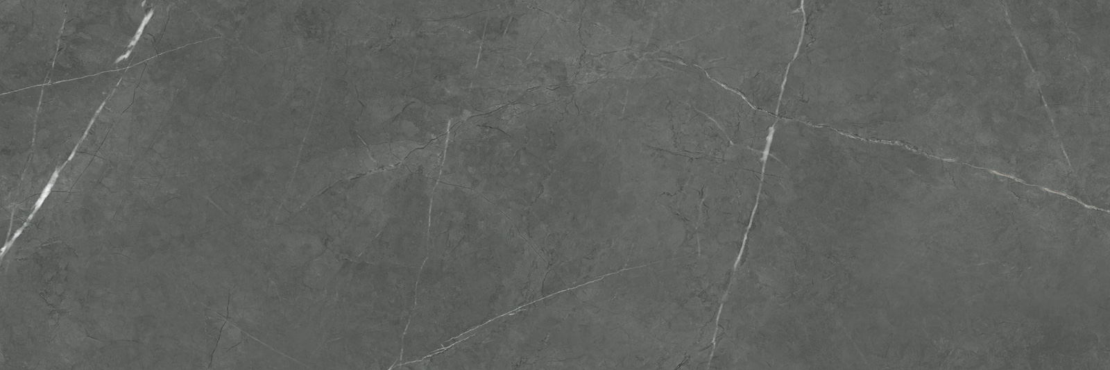 WT93ROK25  На стену Rockstyle Graphite 300x900x10.5 - фото 9