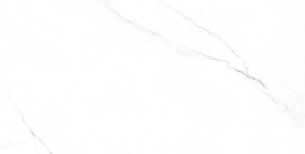 ENMAR1005MT60120 На пол Marble Carrara Bianco Matt - фото 2