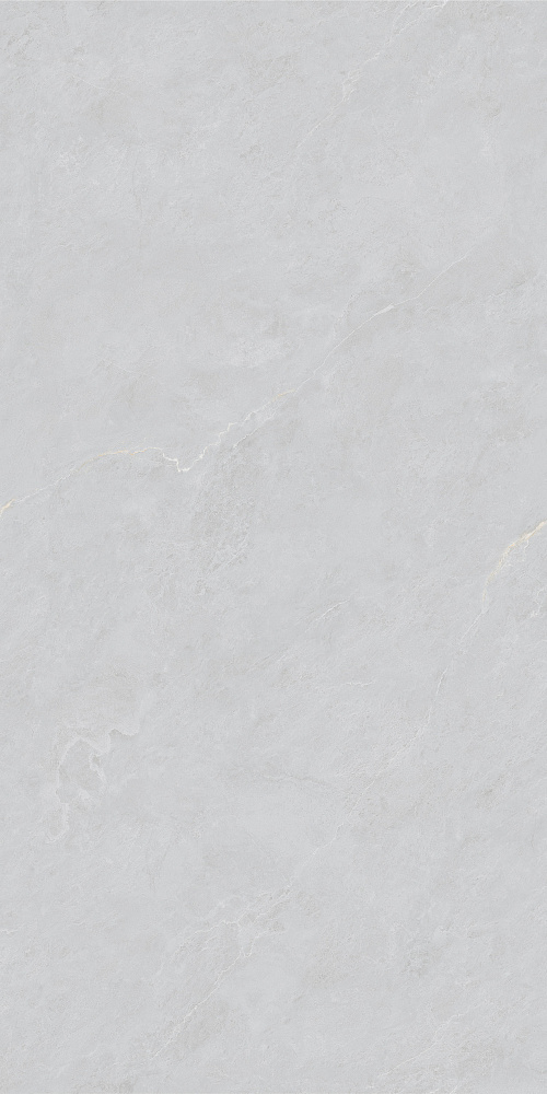 BHW-0023 На пол Cateye Light Grey Grains Soft-Polished Mould 600x1200x10