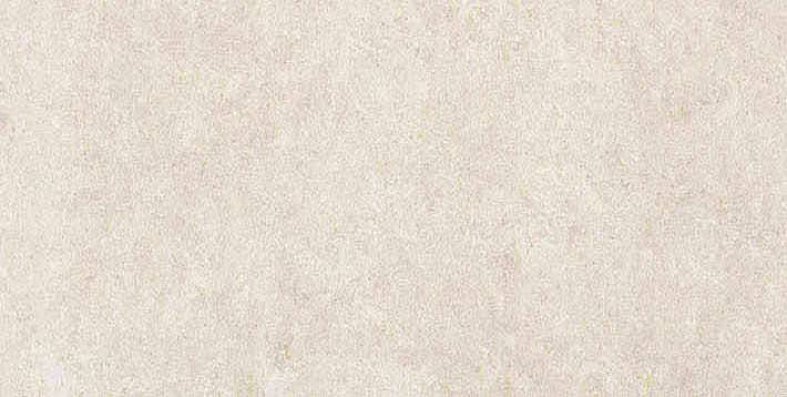 766621 На пол Elemental Stone White Sandstone Luc Ret 30x60 - фото 2