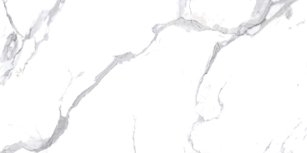 На пол Calacatta Splendid Silver Белый Полированный 60х120 - фото 3