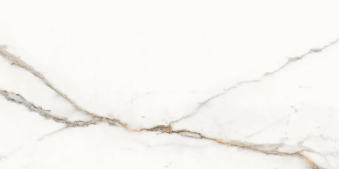 EKSQ На пол Unique Marble Paonazzetto Lappato 60x120