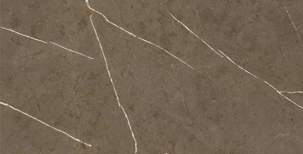 BHM-5009 На пол Stone Brown 3D ink-soft glaze 60x120