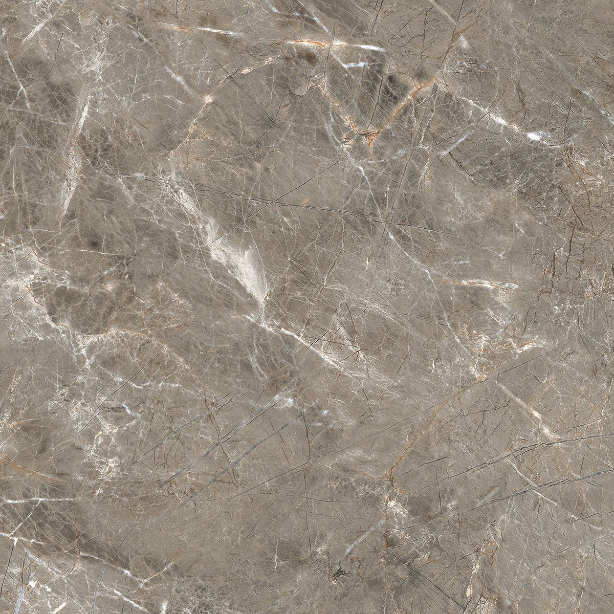 R_PR1023 На пол Olympia Grey Polished 60x60