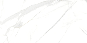 P15006.6 Керамогранит Royal Marble White Plsh Rc.Por.Tl Глазурованный 60x120