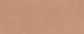 7254 Плитка Каннареджо Оранжевый матовыйx0.8 20x50