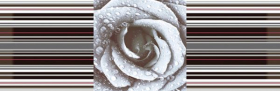 Декор Aure Decor Rose 02 45x15