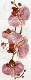 377087 Панно Fiori Dec. Орхидея 40x100