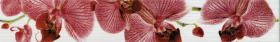 267081 Бордюр Fiori Cen. Орхидея 40x6